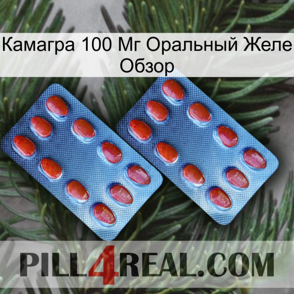 Камагра 100 Мг Оральный Желе Обзор 05.jpg